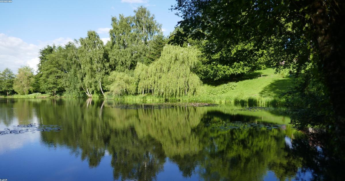 Un approccio innovativo alla finanza personale sostenibile