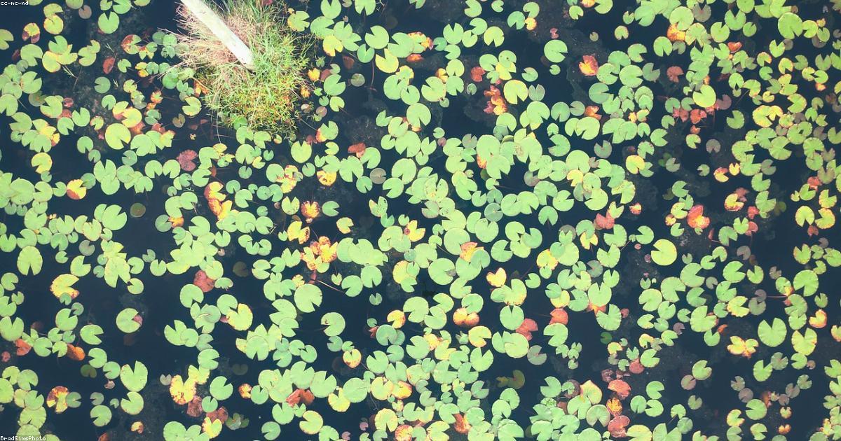 Cosa significa essere un investitore responsabile