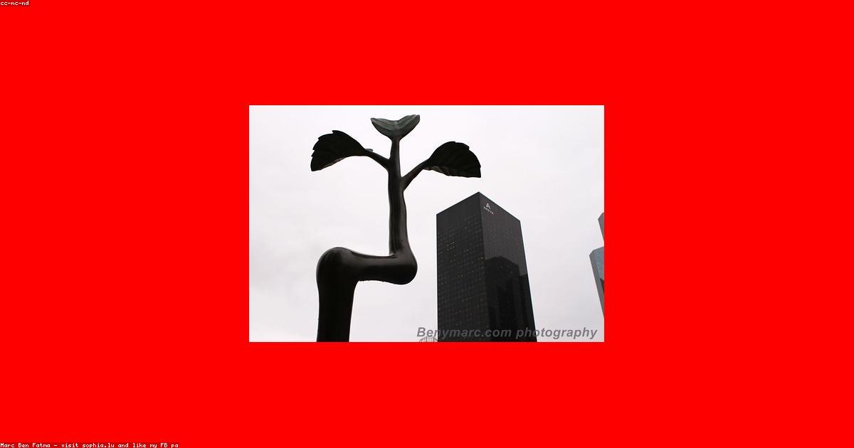 Il potere delle comunità nel promuovere la sostenibilità