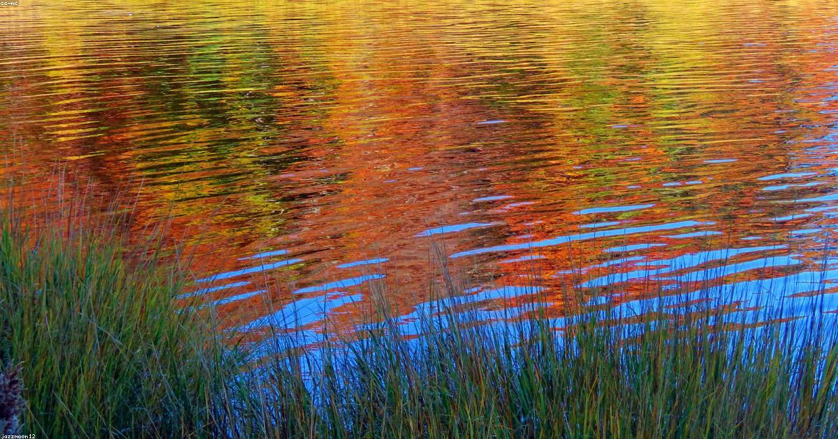 Opportunità di investimento nel settore delle energie rinnovabili