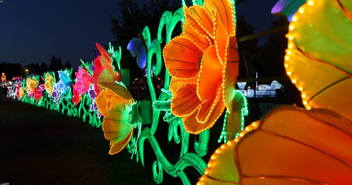 Pensione anticipata FIRE: Il movimento in Italia