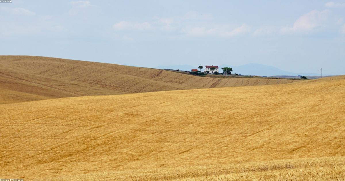 Impact investing: Rendimento con impatto