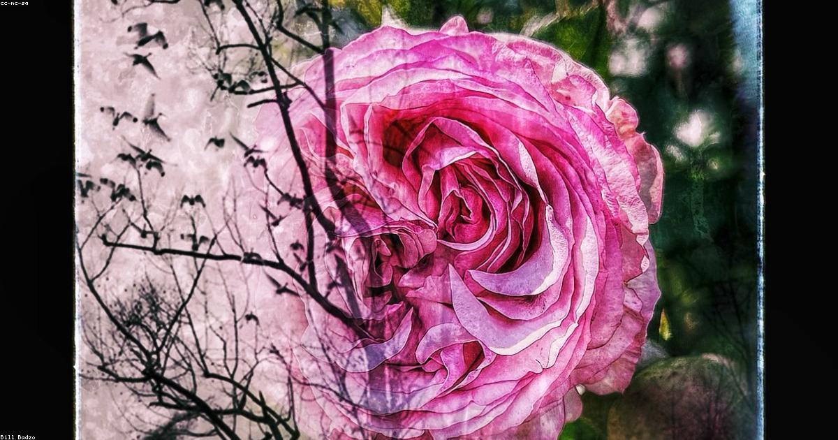 Ritorni economici delle energie verdi nel lungo termine