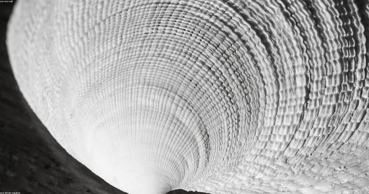 Pianificare un futuro finanziario sostenibile