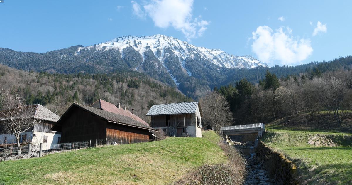 La crescita dei mercati verdi in Italia