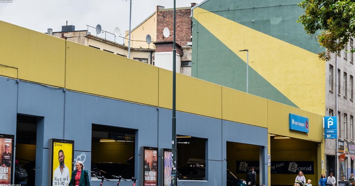 Come investire in progetti di riforestazione