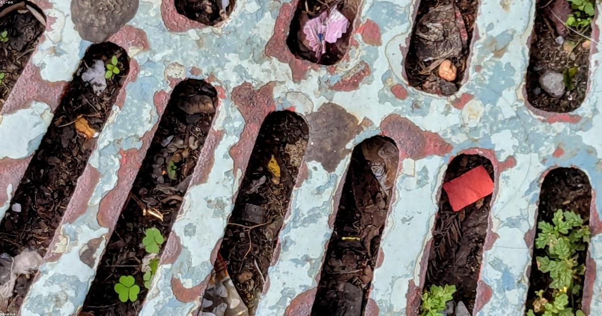 Investimenti verdi per un rendimento duraturo