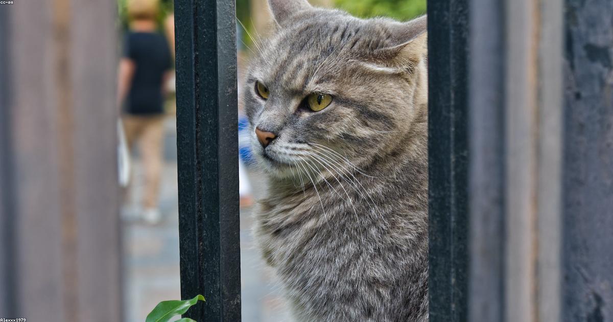 Racconti di investitori che hanno fatto la differenza