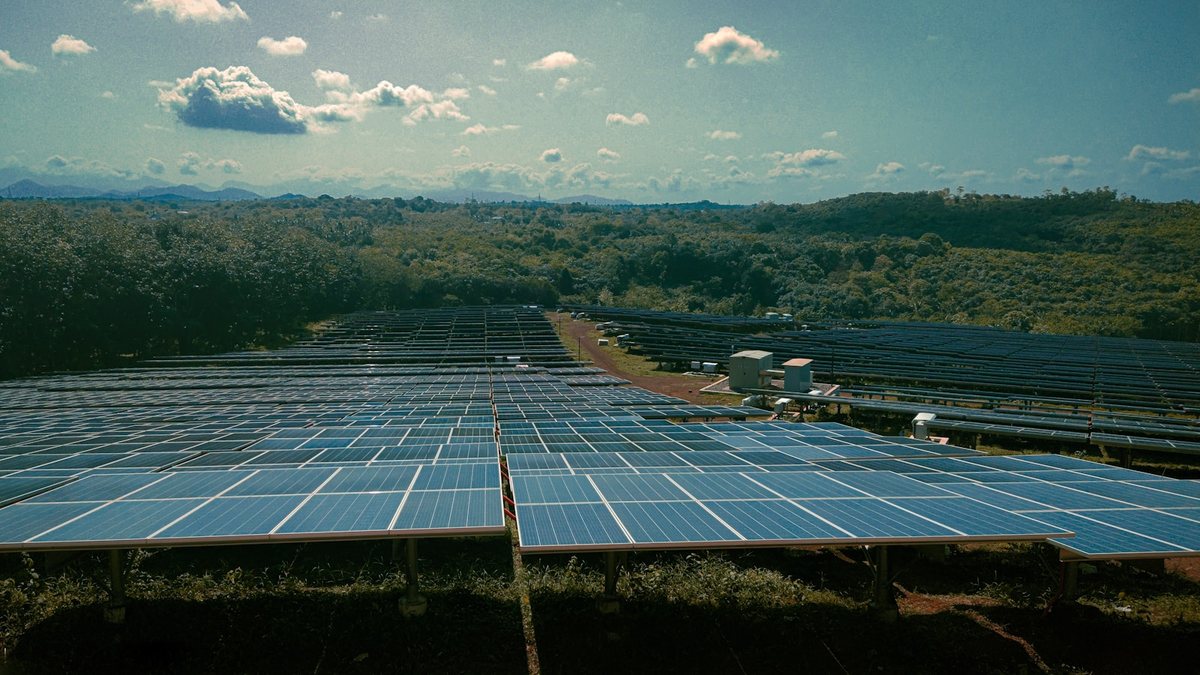Investire in agricoltura sostenibile: una scelta vincente