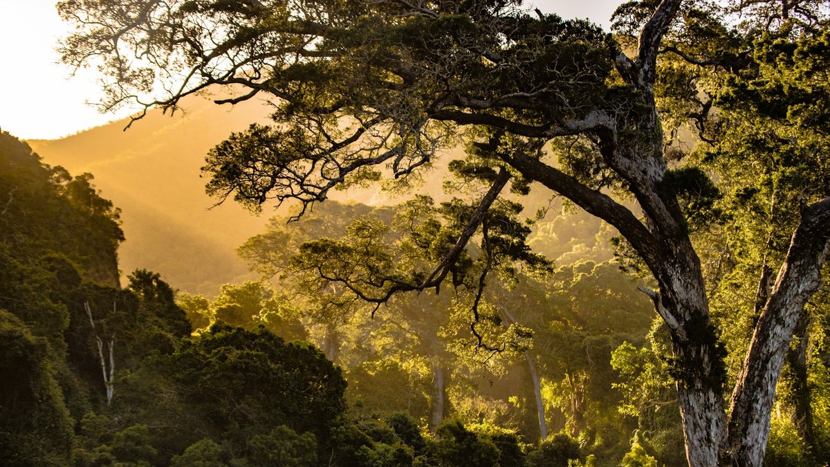 Investire nella biodiversità: un futuro da esplorare