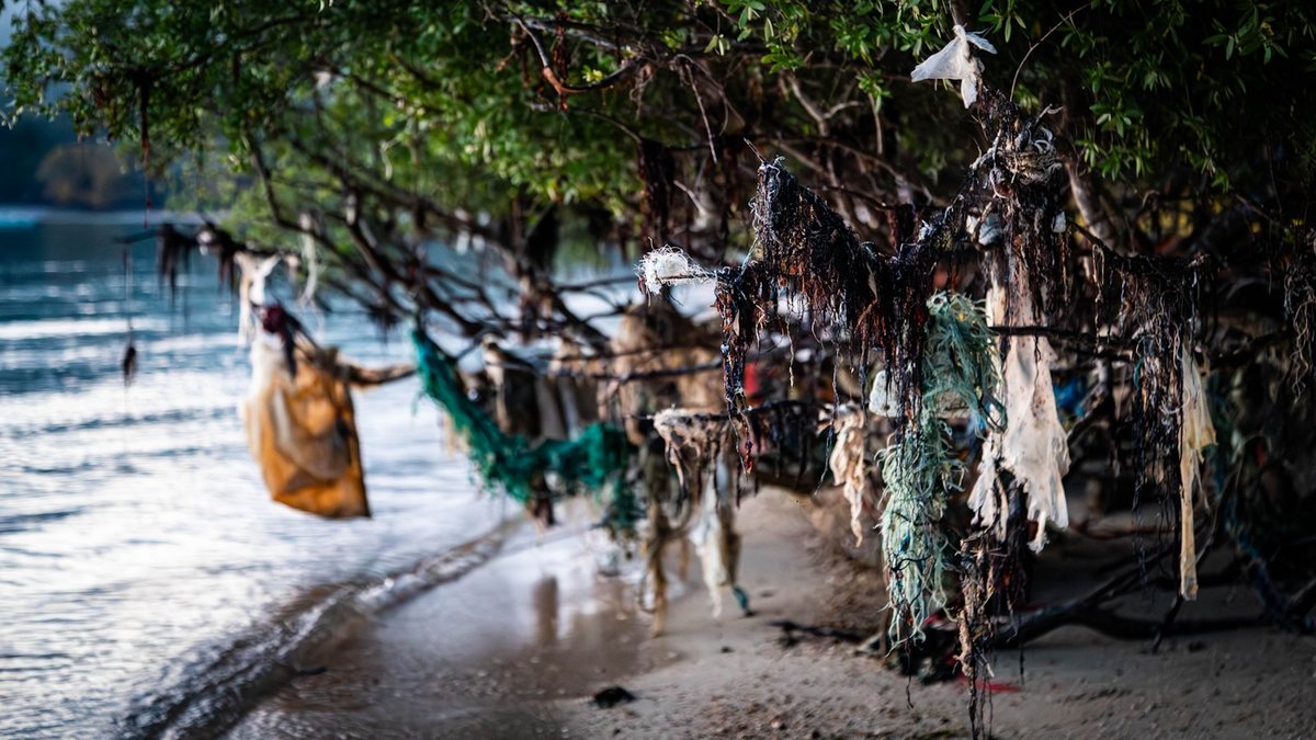 Strategie per risparmiare e proteggere l’ambiente