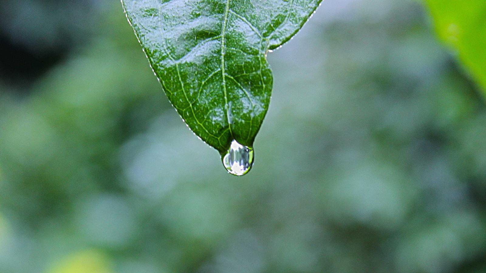 Quaderno con calcoli di risparmio mensile e calcolatrice accanto a una tazza di caff&egrave;